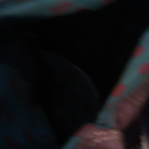 fossil bag/Vintage - Picture 9 of 9